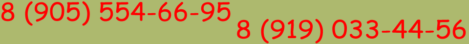+7 (905) 554-66-95 Бортовая газель